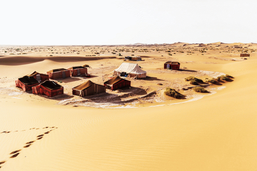 Sahara Desert